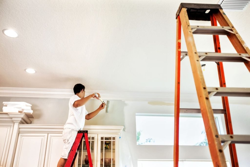 painters whangarei